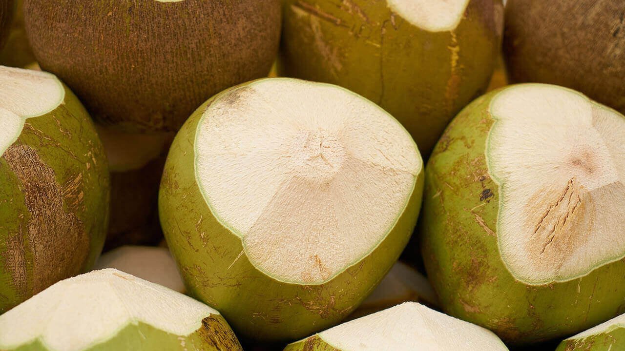 5 Dicas Importantes Para Você Beber Água de Coco Todos os Dias